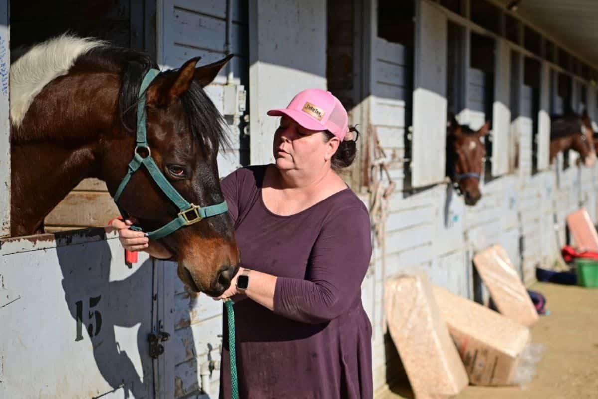 Cientos de animales vulnerables por incendios en Los Ángeles