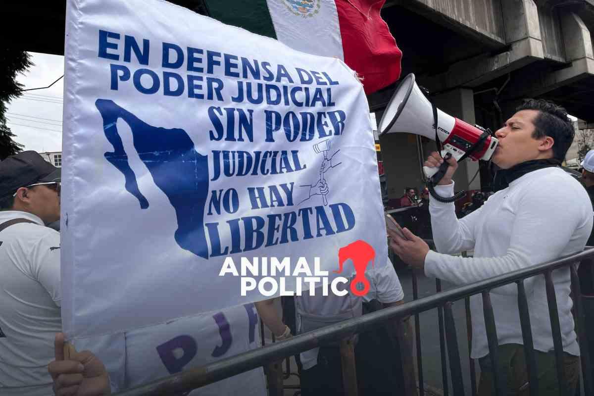 Jueces advierten que “mantendrán a raya” los intentos de políticos por “conquistar el Poder Judicial”