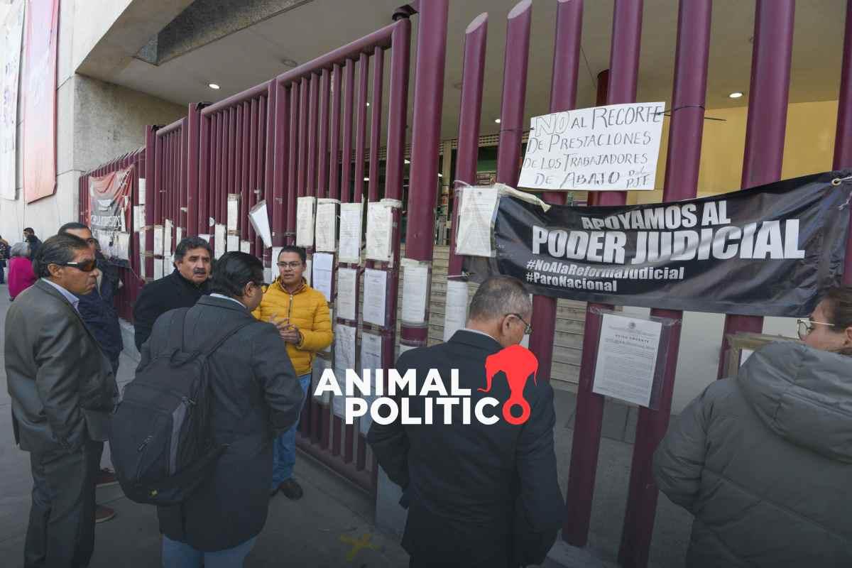 Jueces y magistrados denuncian ante la Corte Interamericana actos contrarios a la Constitución en elección judicial