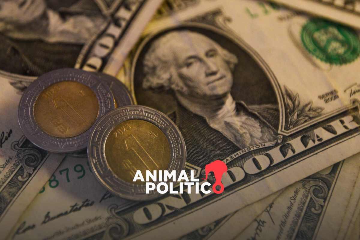 Peso sigue a la baja: cierra en 20.68 frente al dólar y ante a las amenazas de aranceles de Trump que incluirán al gas y petróleo