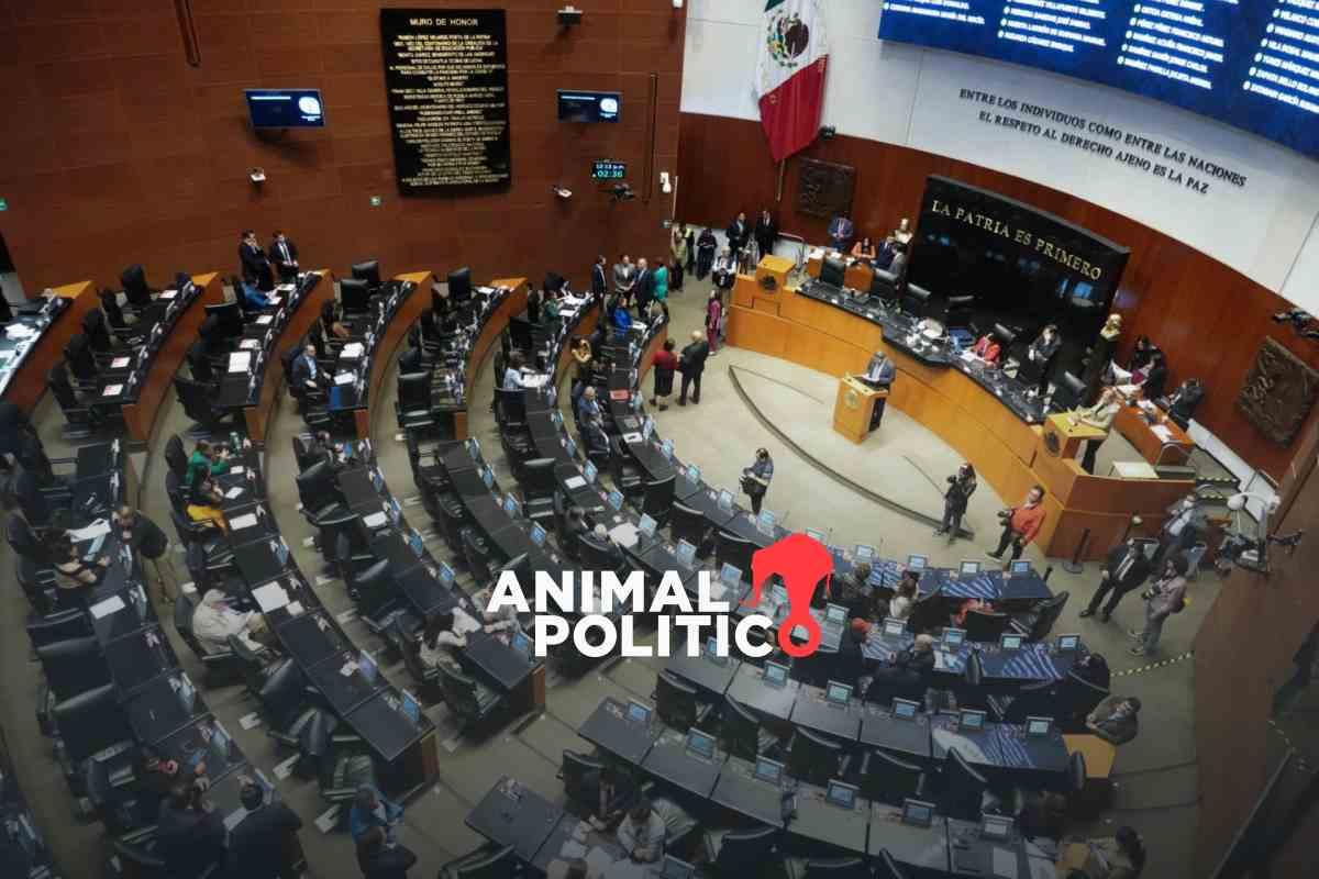 senado-sorteo-candidaturas-comite-poder-judicial