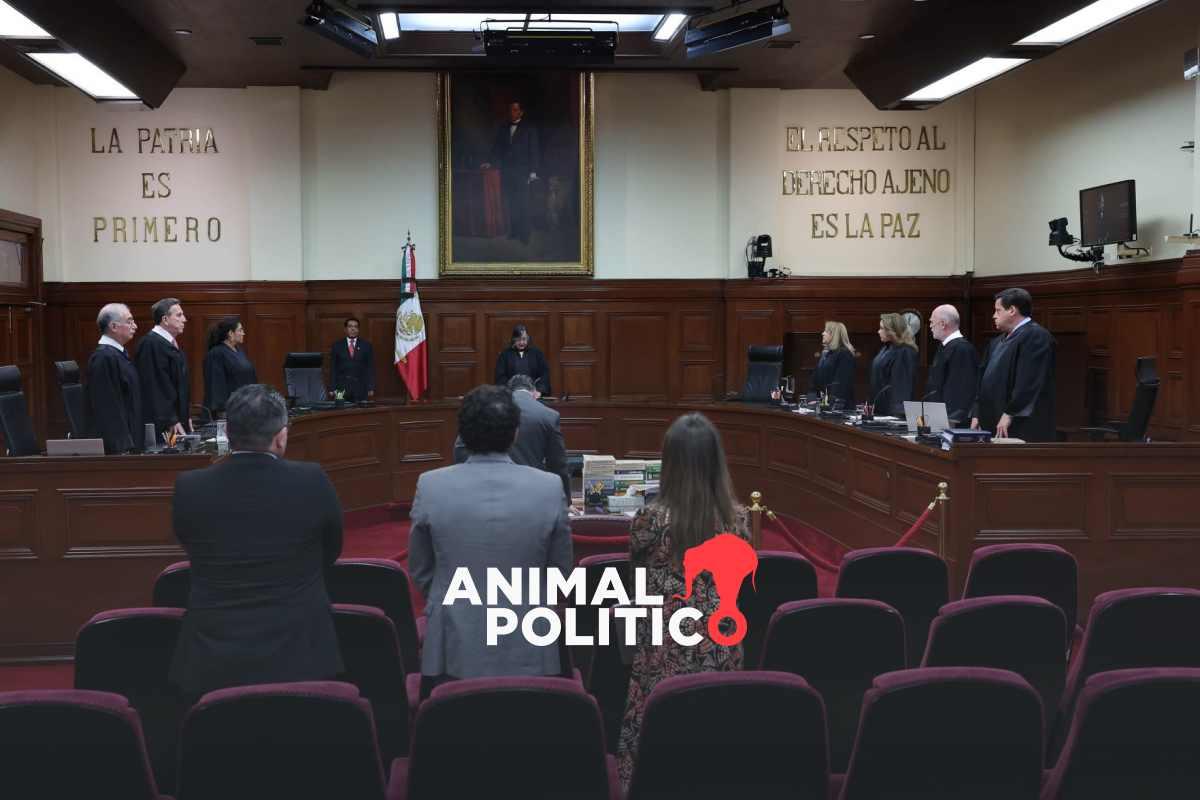 suspension-eleccion-juzgadores-comite-evaluacion-poder-judicial