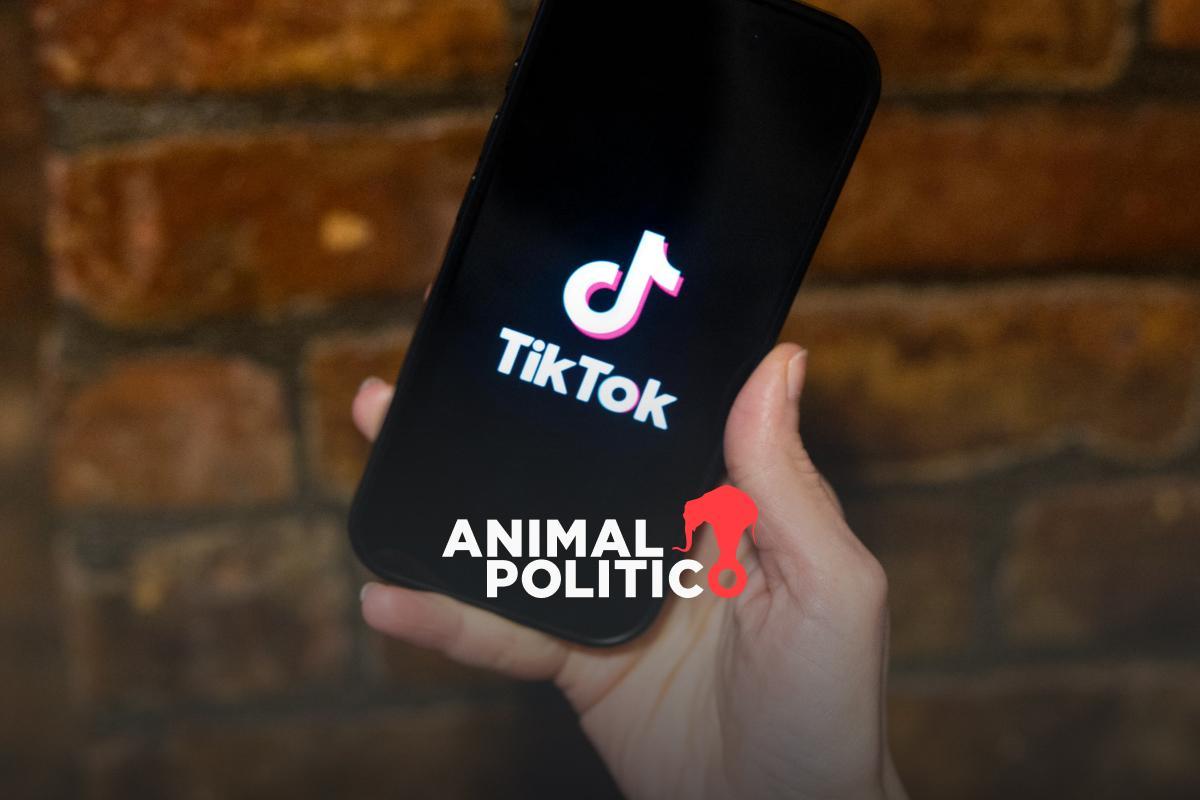 tiktok-suspende-aplicacion-estados-unidos