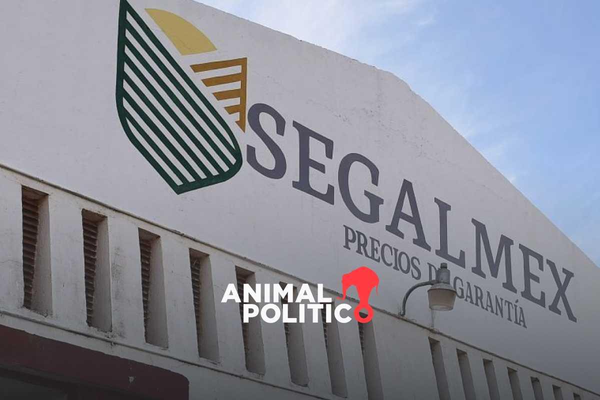 Auditoría detecta nuevas irregularidades en Segalmex por 146 mdp, destinados al transporte de maíz y frijol