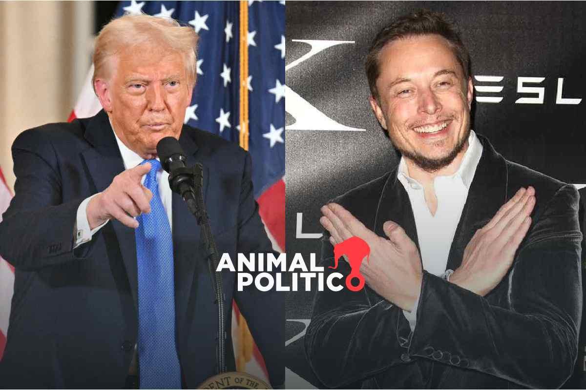 Musk ayudará a descubrir fraudes multimillonarios contra agencias del gobierno de EU, dice Trump