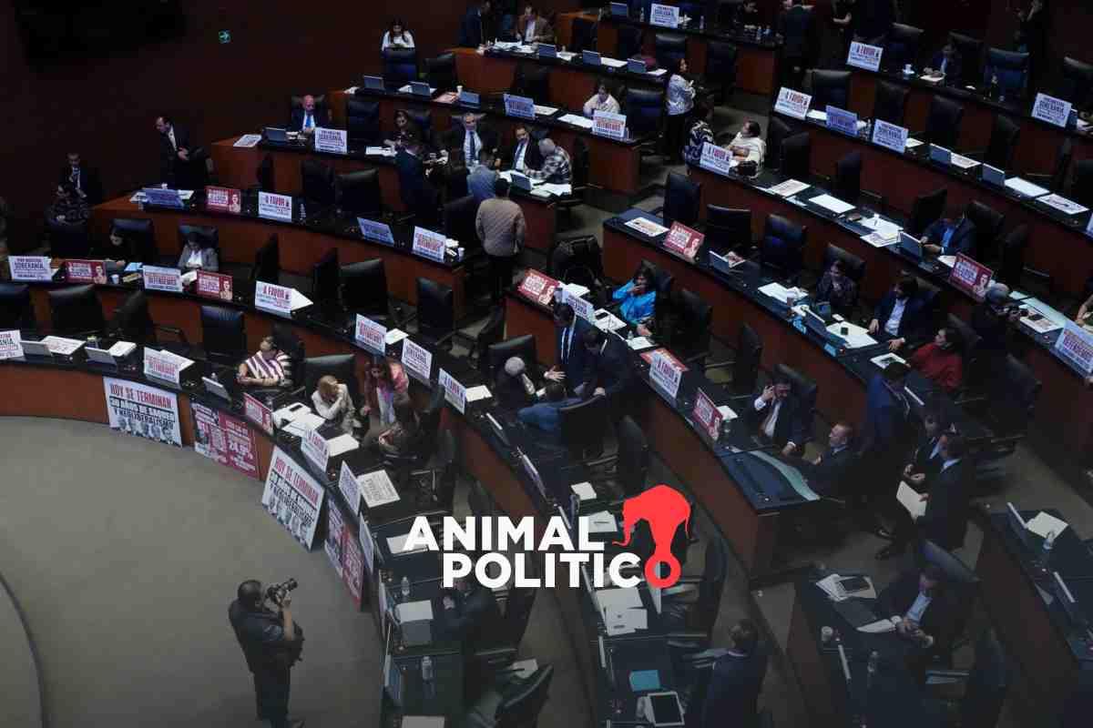 Senadores defienden reforma sobre transparencia, argumentan que oposición hacía solicitudes de información “vergonzosas”