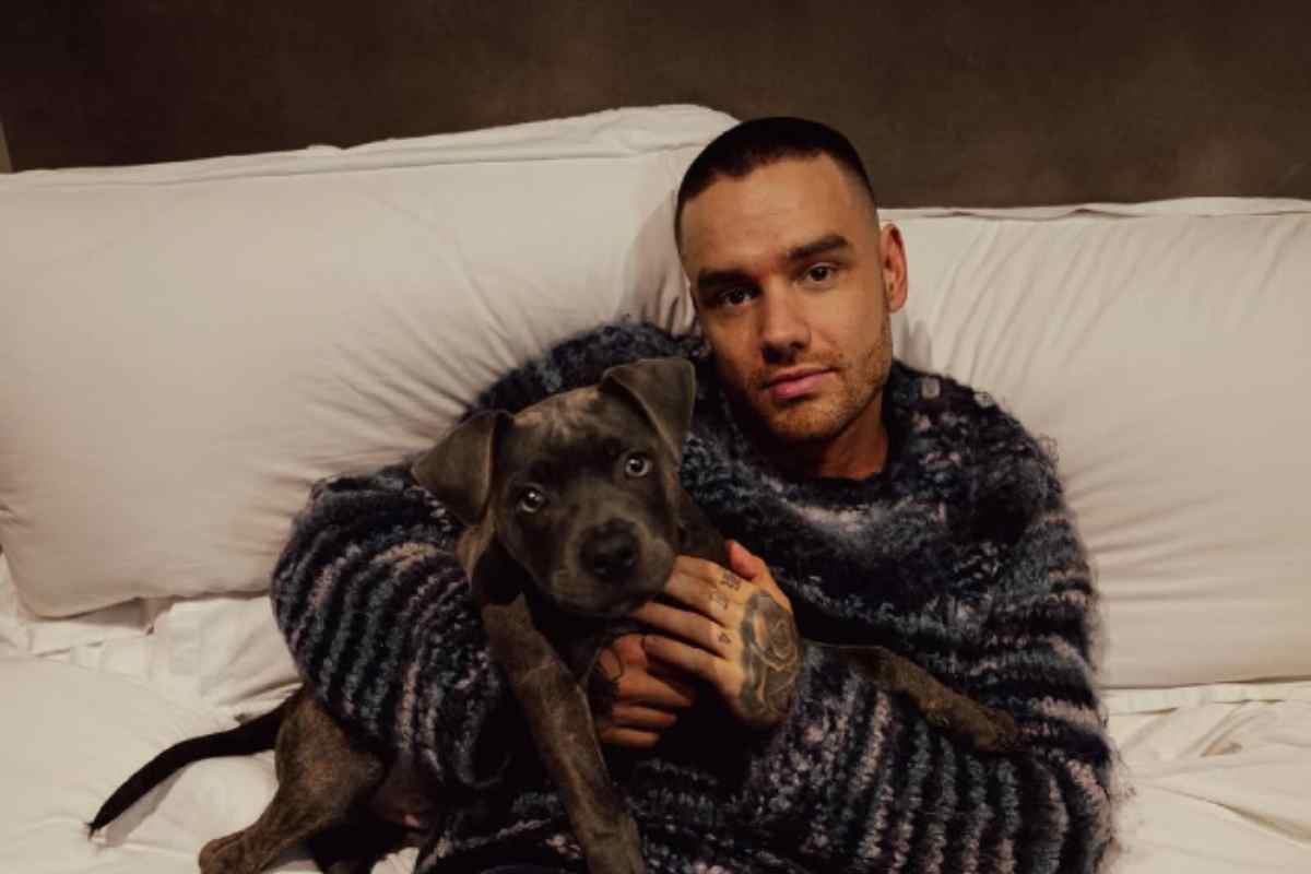 Imagen: Caso Liam Payne: exculpan a tres de los cinco acusados por la muerte del cantante