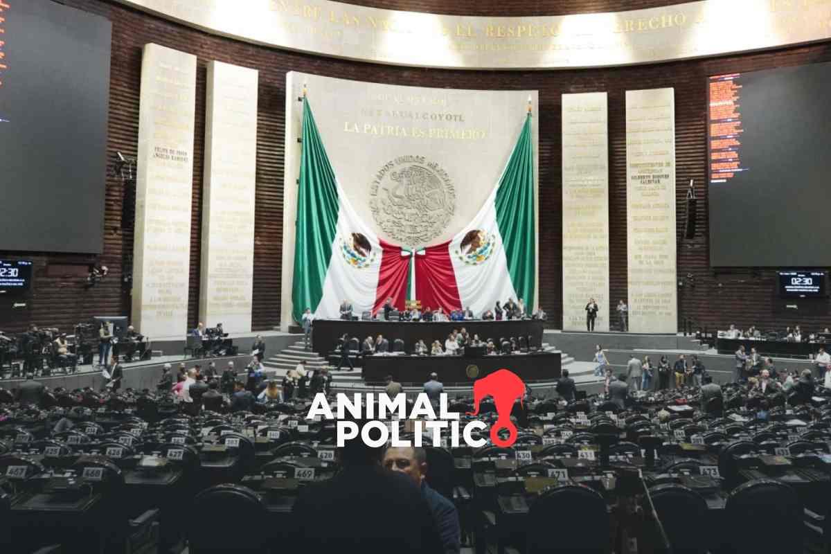 Diputados de Morena y aliados aprueban reforma al Infonavit para construir y rentar vivienda