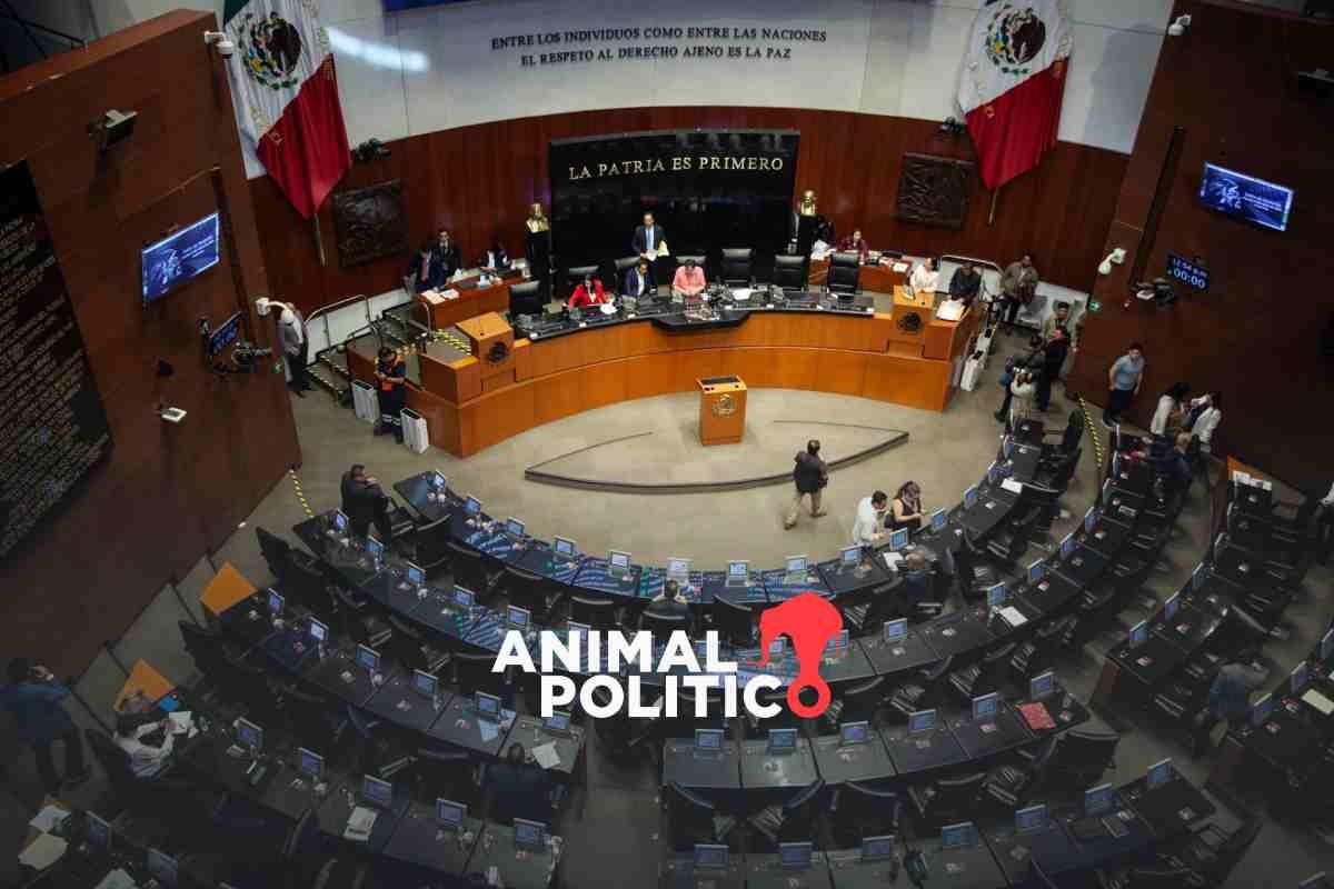 Sin consenso con la oposición, Senado llama a unidad frente a los aranceles y amenazas de Trump