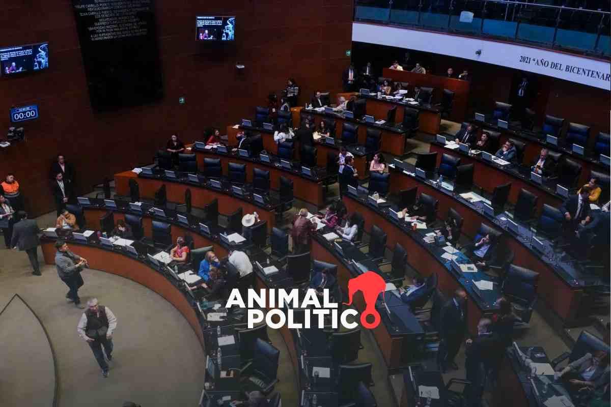 Senado proyecta otorgar días de luto a trabajadores por la muerte de familiares cercanos