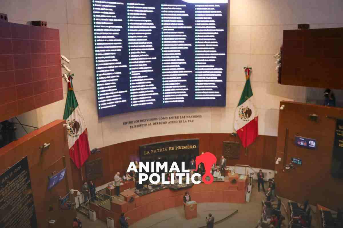 Senado aprueba reforma de transparencia; abre rendija para vigilar dependencias que investiguen terrorismo y tráfico de armas