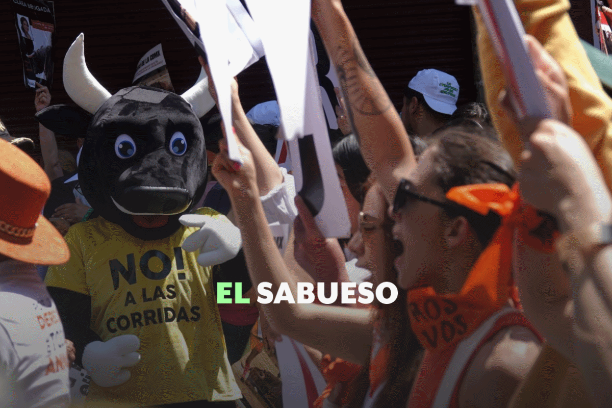 ¿El fin de las corridas de toros? Congreso de CDMX discute este martes espectáculos taurinos sin violencia