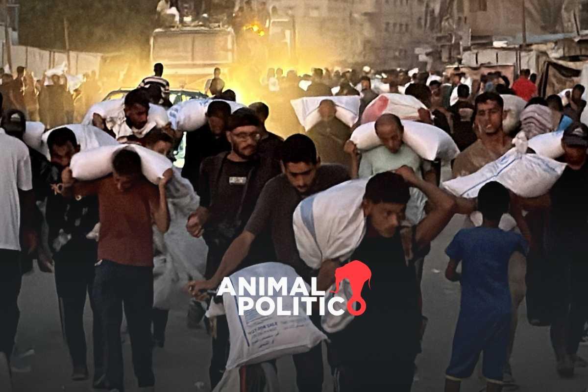 Un centenar de organizaciones advierten “hambruna masiva” en Gaza; denuncian carencia de suministros