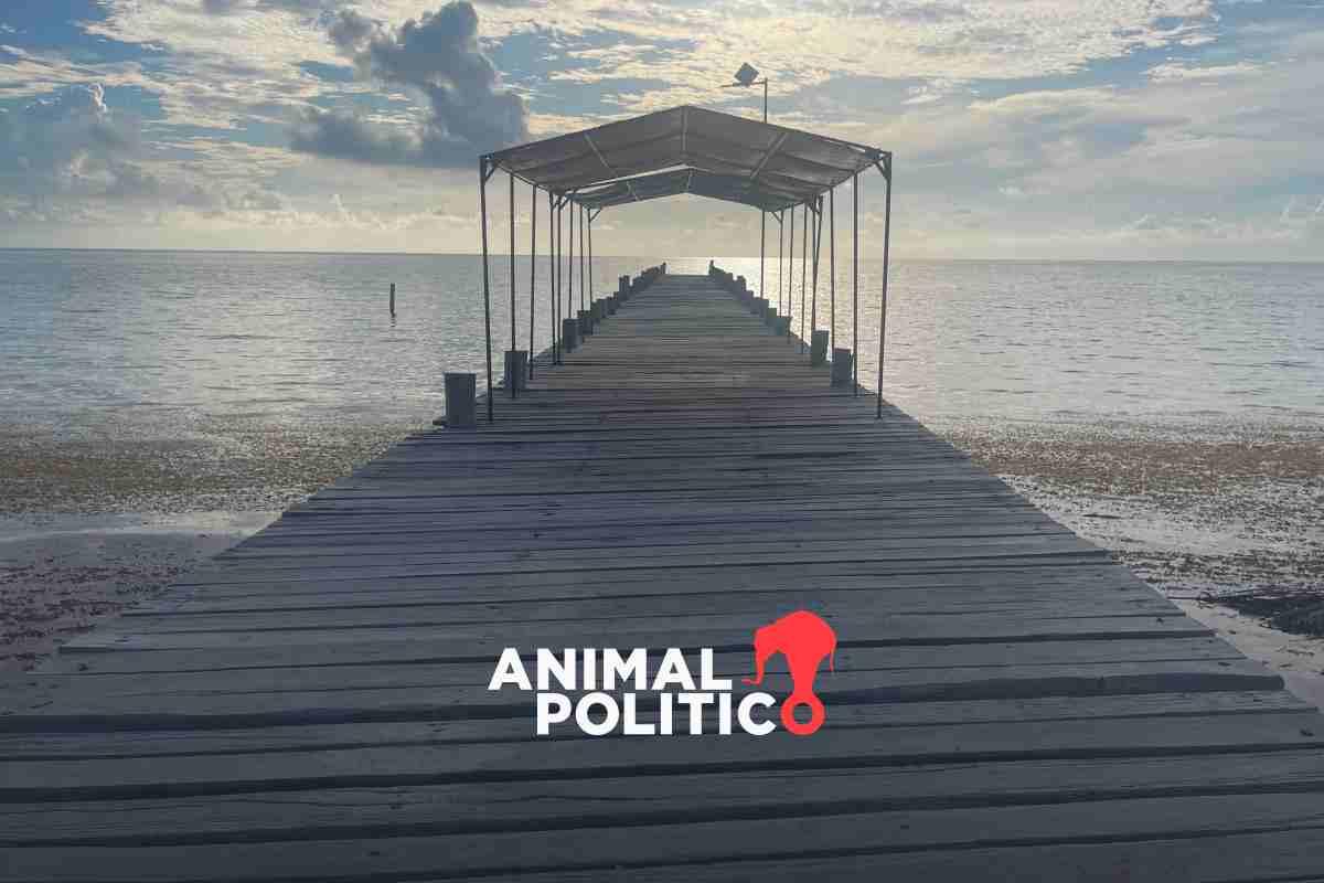 La expansión turística del Ejército en áreas protegidas: la Reserva de la Biosfera de Sian Ka’an