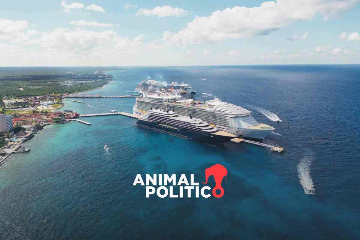 Semarnat anula resolución ambiental del proyecto de cuarto muelle en Cozumel; ambientalistas celebran defensa del arrecife