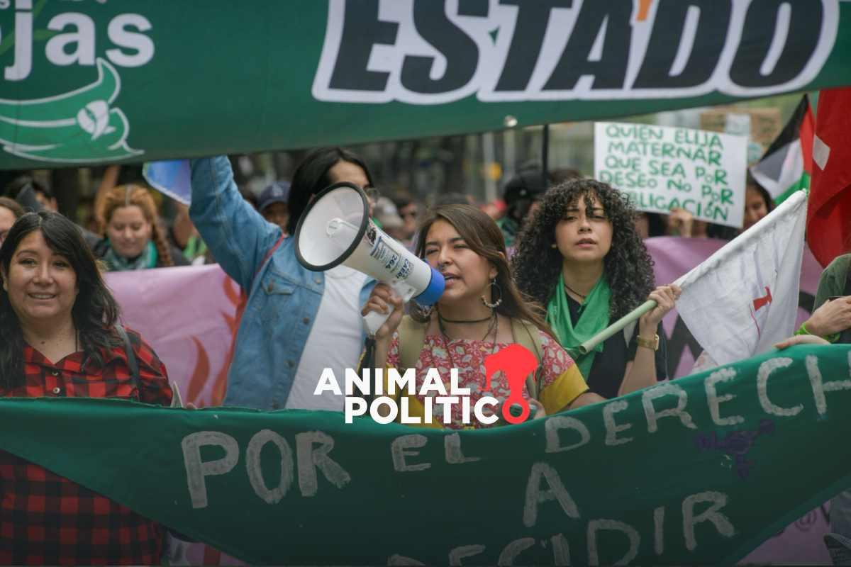 "Fuera aborto del Código Penal": activistas exigen reformas, acceso y atención a diversidades