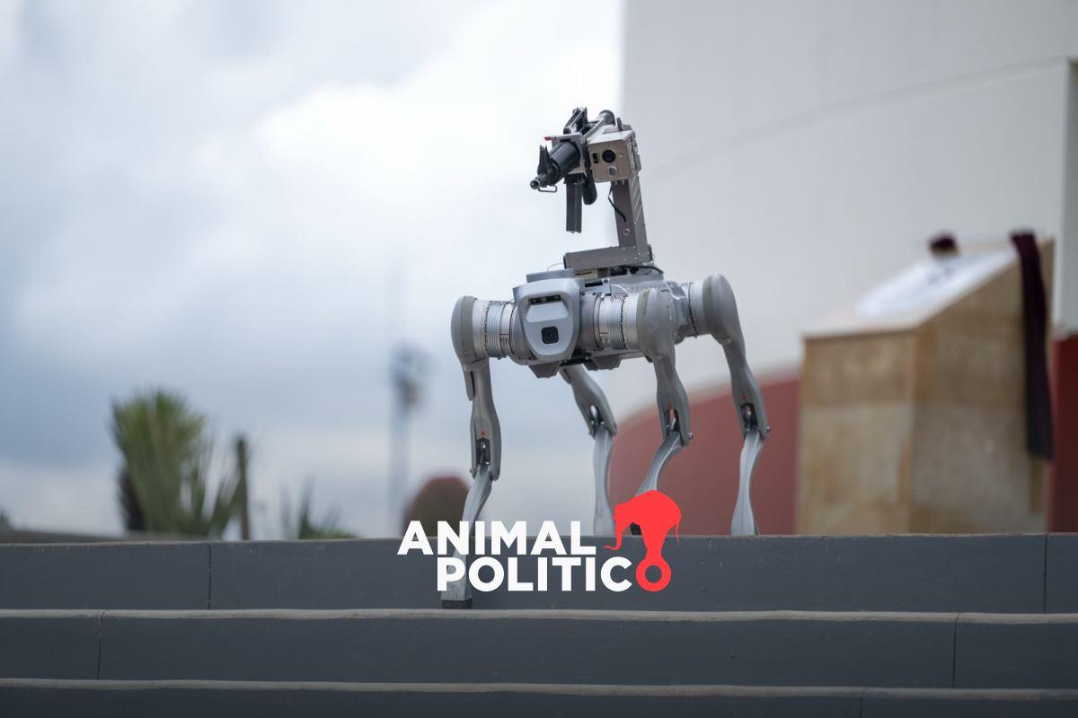 Zacatecas presenta "perro robot" armado que usará en operativos de seguridad