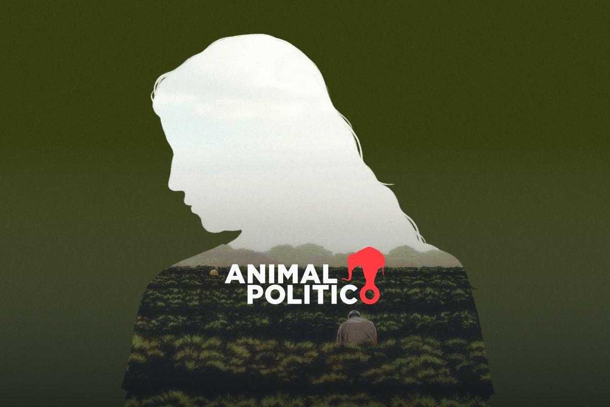 Le vendieron el sueño americano con la visa de trabajadora agrícola, pero terminó en pesadilla