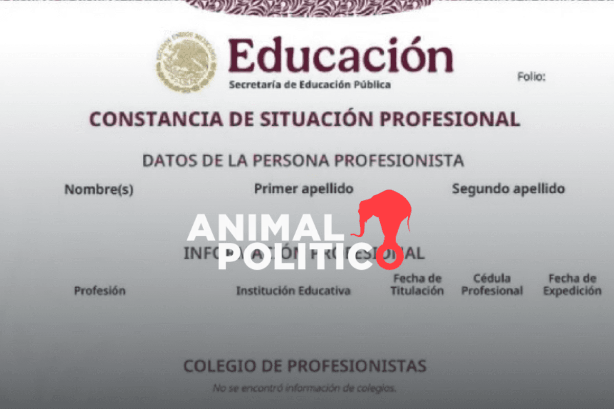 Constancia de Situación Profesional: te decimos qué es, para qué sirve y cómo descargar este documento