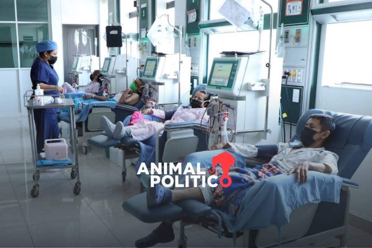 Habilitarán registro único de salud para que derechohabientes se atiendan en IMSS, ISSSTE e IMSS Bienestar