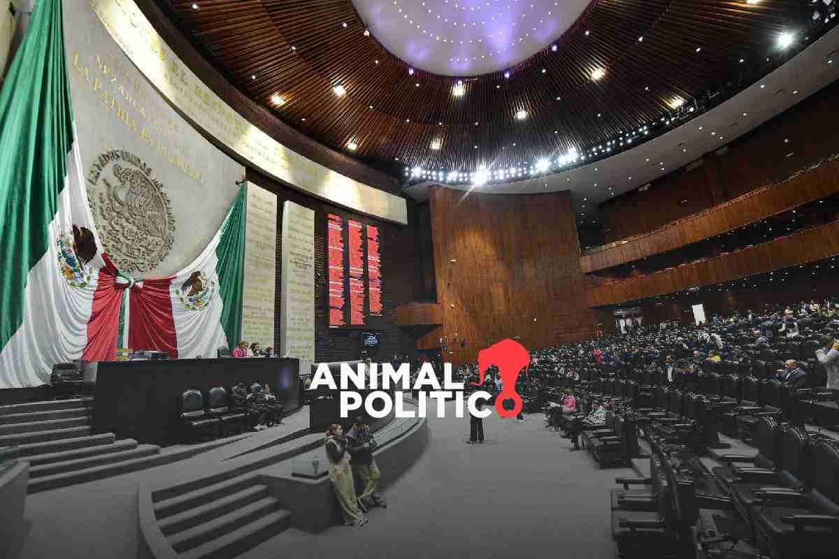 Cambios a ley de amparo podrían limitar a ONG que defienden derecho a la justicia social o ambiental