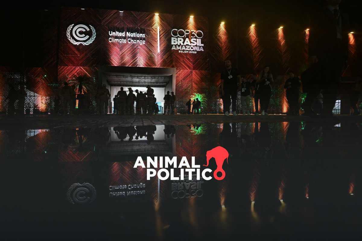 COP30: organizaciones piden a México compromisos ambiciosos en mitigación al cambio climático 