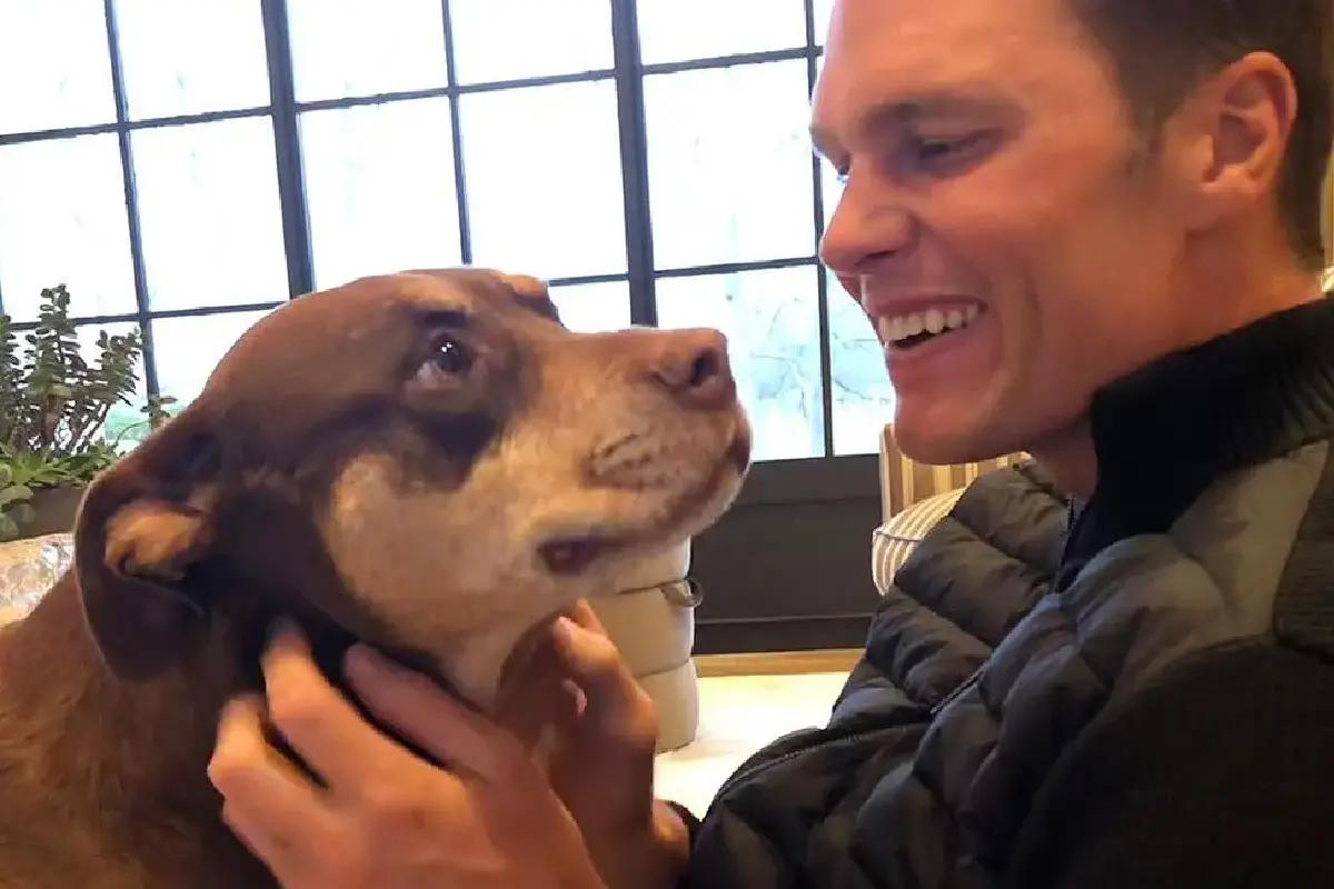 Tom Brady clonó a su perra muerta; pero no es el único famoso en hacerlo
