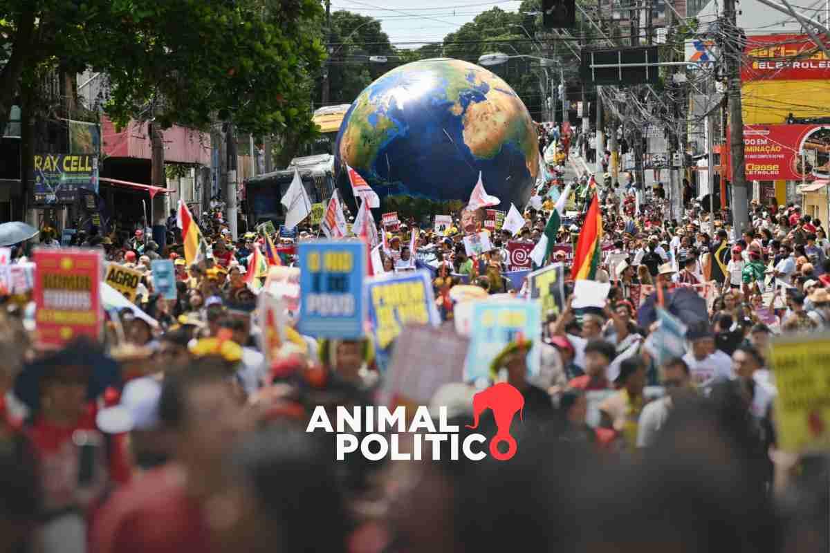 Miles marchan en Brasil durante la COP30; exigen medidas contra calentamiento global 