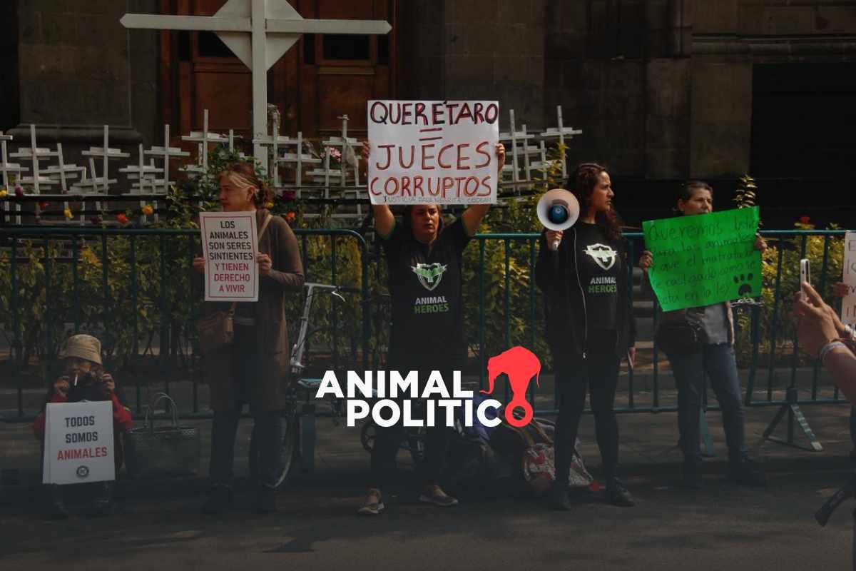 caso-athos-tango-sentencia-justicia