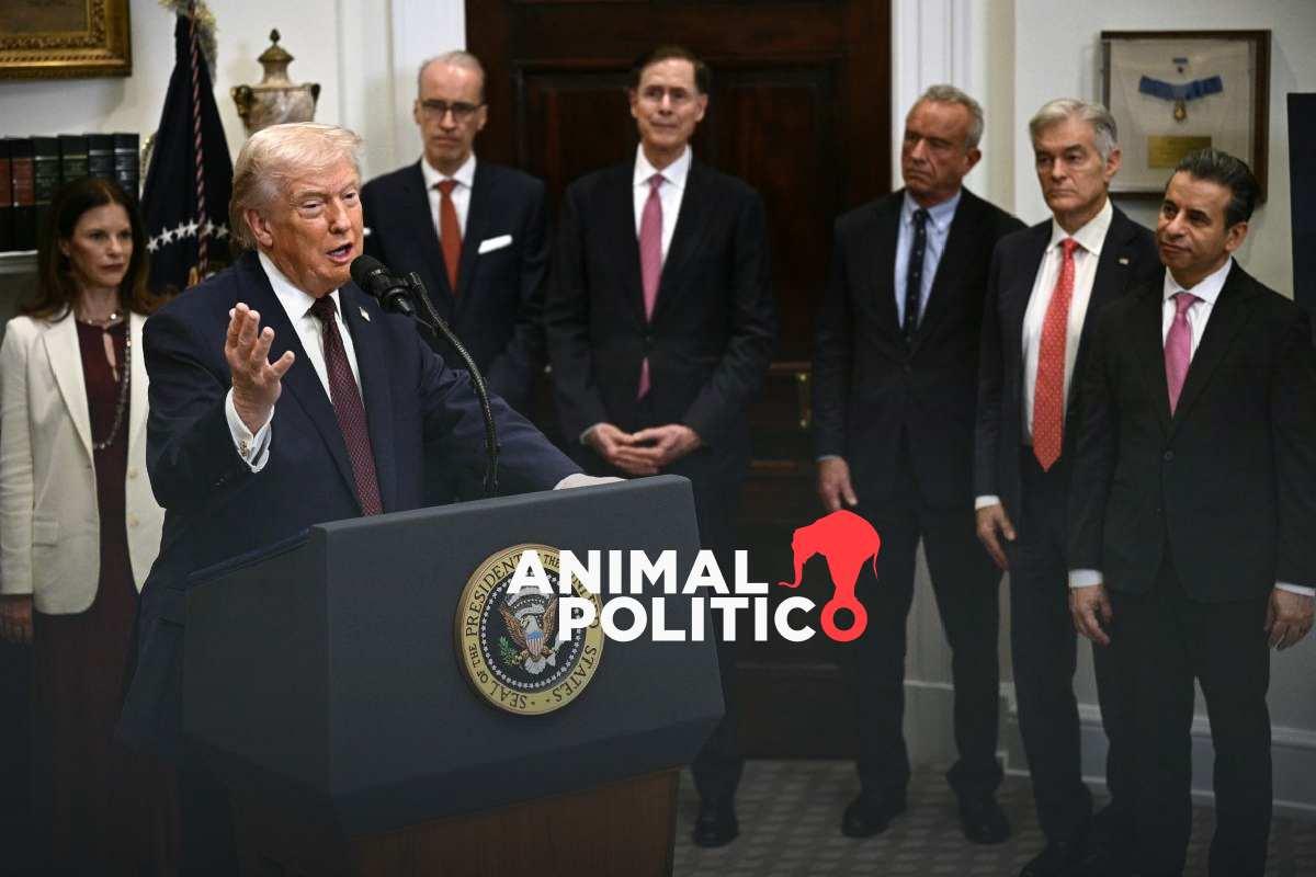 EU ataca al Estado Islámico en Siria en respuesta a atentado contra sus tropas; es “represalia muy seria”, dice Trump