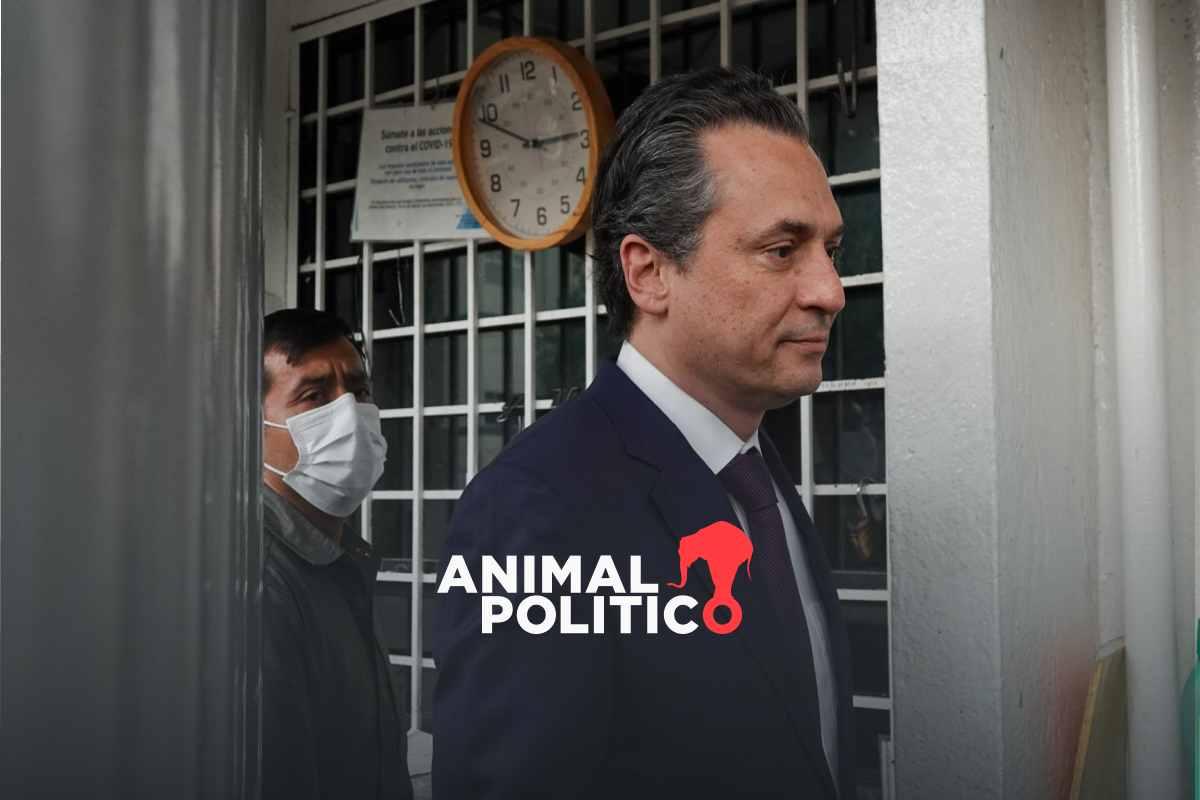 niegan-amparo-emilio-lozoya-lavado-dinero-agronitrogenados