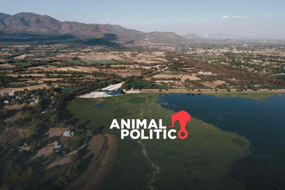 Defensores en Hidalgo rechazan descalificaciones tras frenar parque ecológico en Tula; “pedimos un pulmón verde”