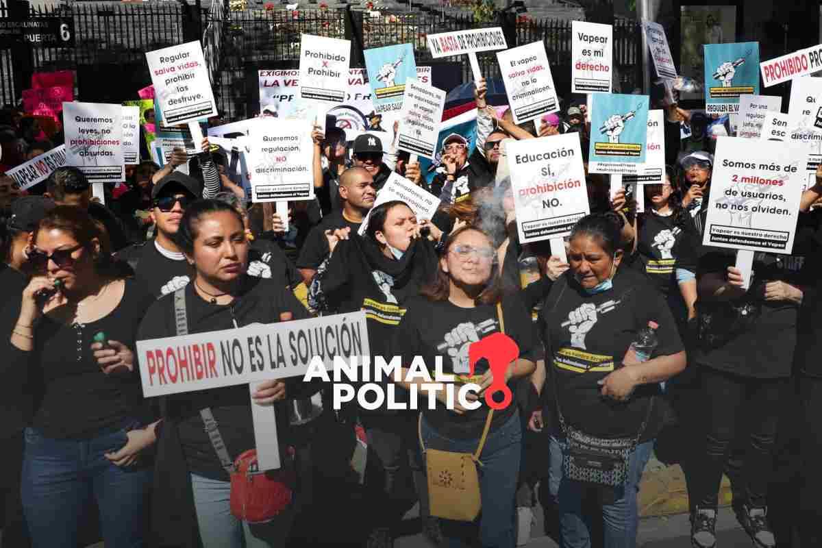 prohibicion-de-vapeadores-mercado-negro-criminalizacion