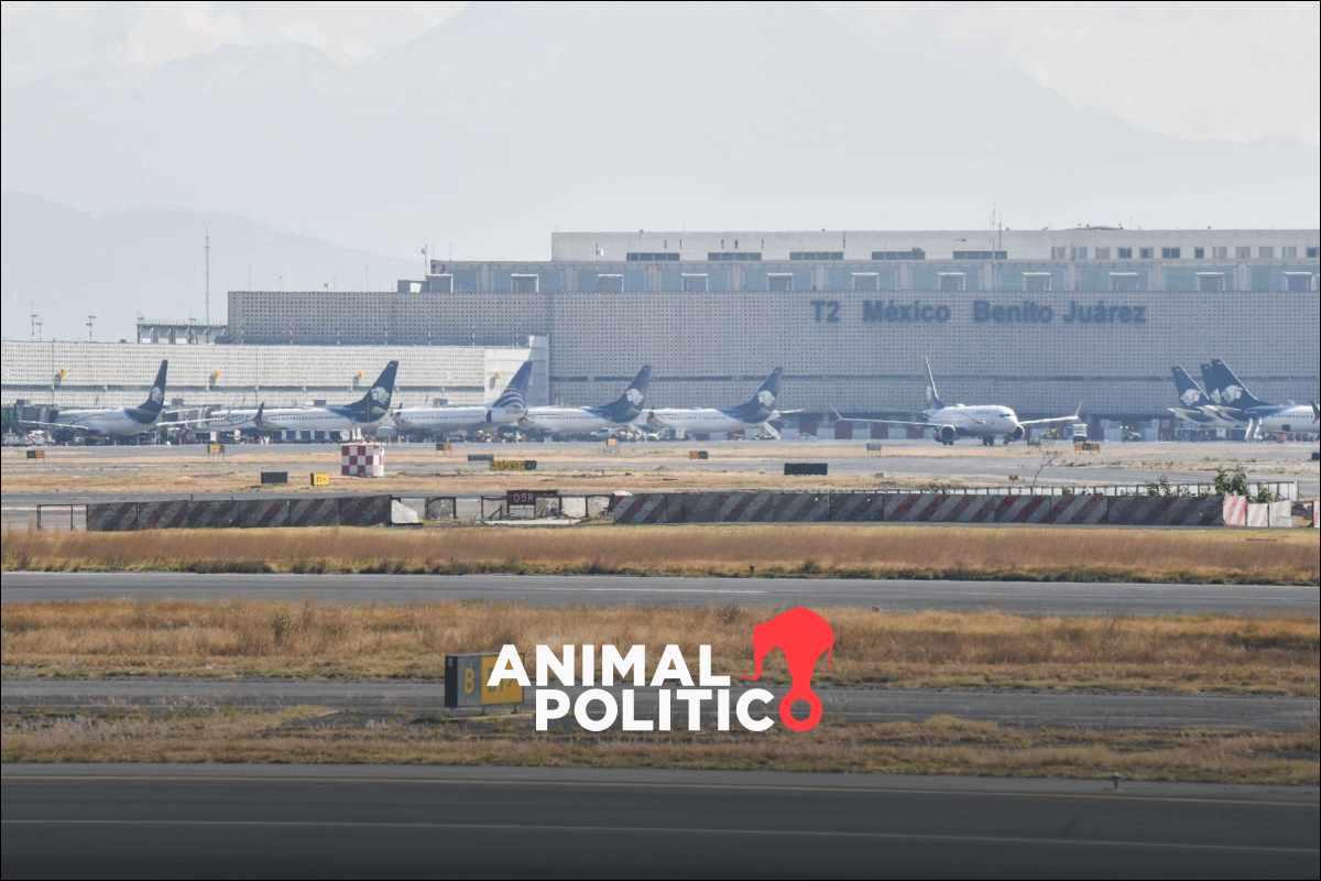 AFAC investiga incidente en el AICM: piloto de Magnicharters retuvo vuelo y acusó irregularidades laborales