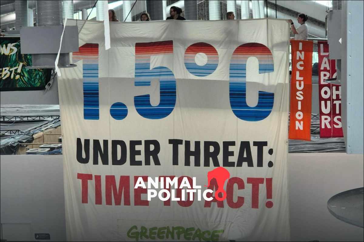 cop30-las-claves-esperanzadoras-que-dejo-esta-cumbre-climatica