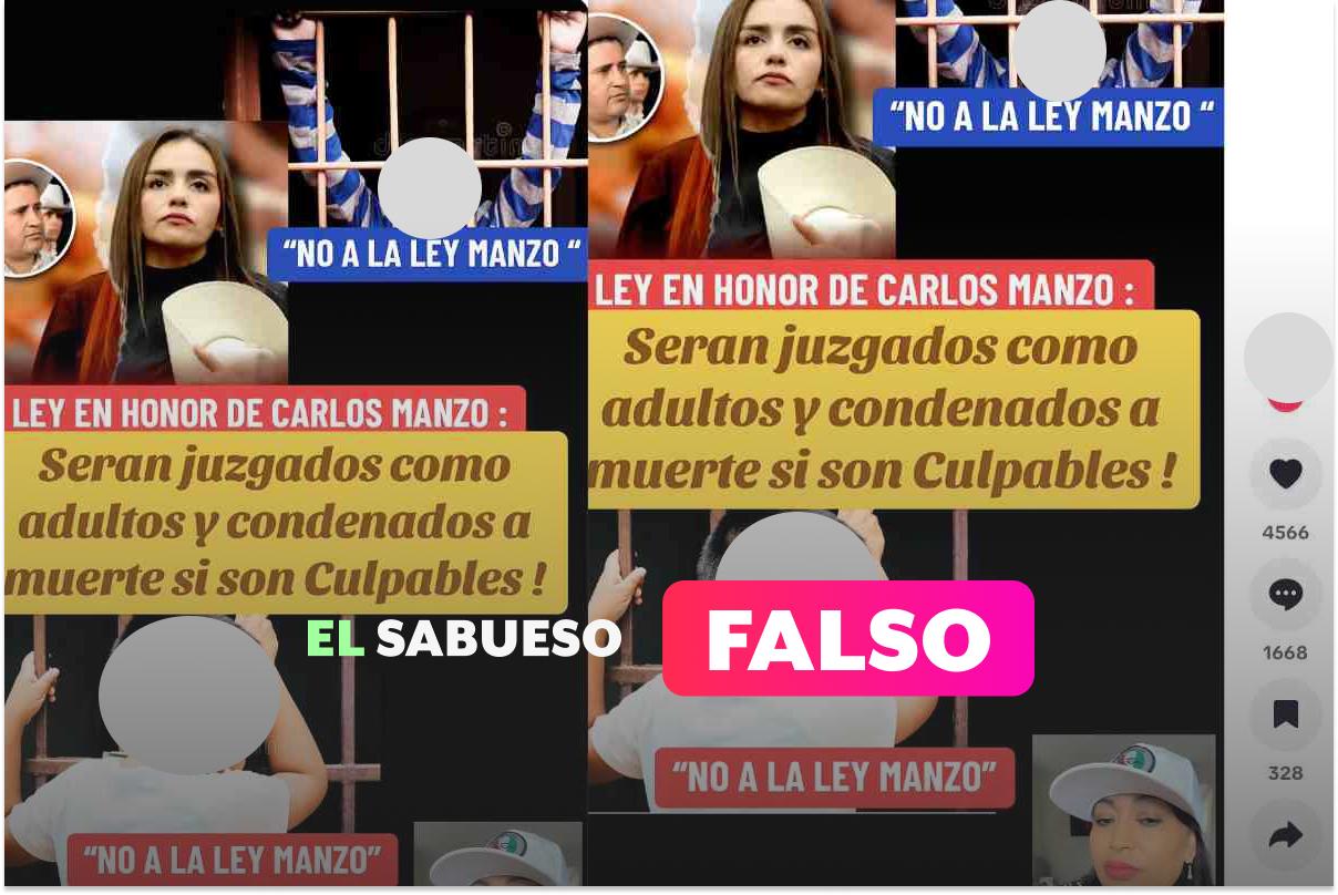 La verdadera “Ley Manzo” no tiene que ver con una pena de muerte a menores de edad