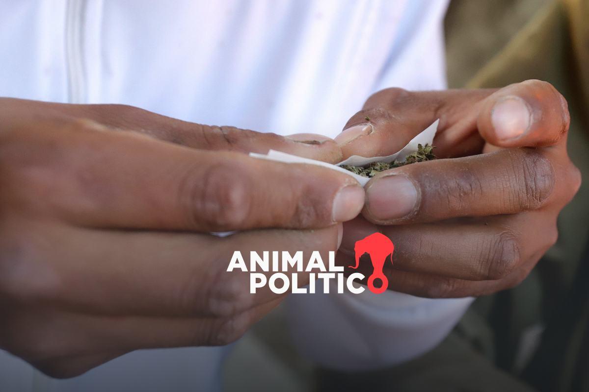 despues-de-8-anos-sin-datos-presentan-encuesta-de-drogas-crece-uso-indebido-de-medicamentos-y-consumo-de-sustancias-ilegales