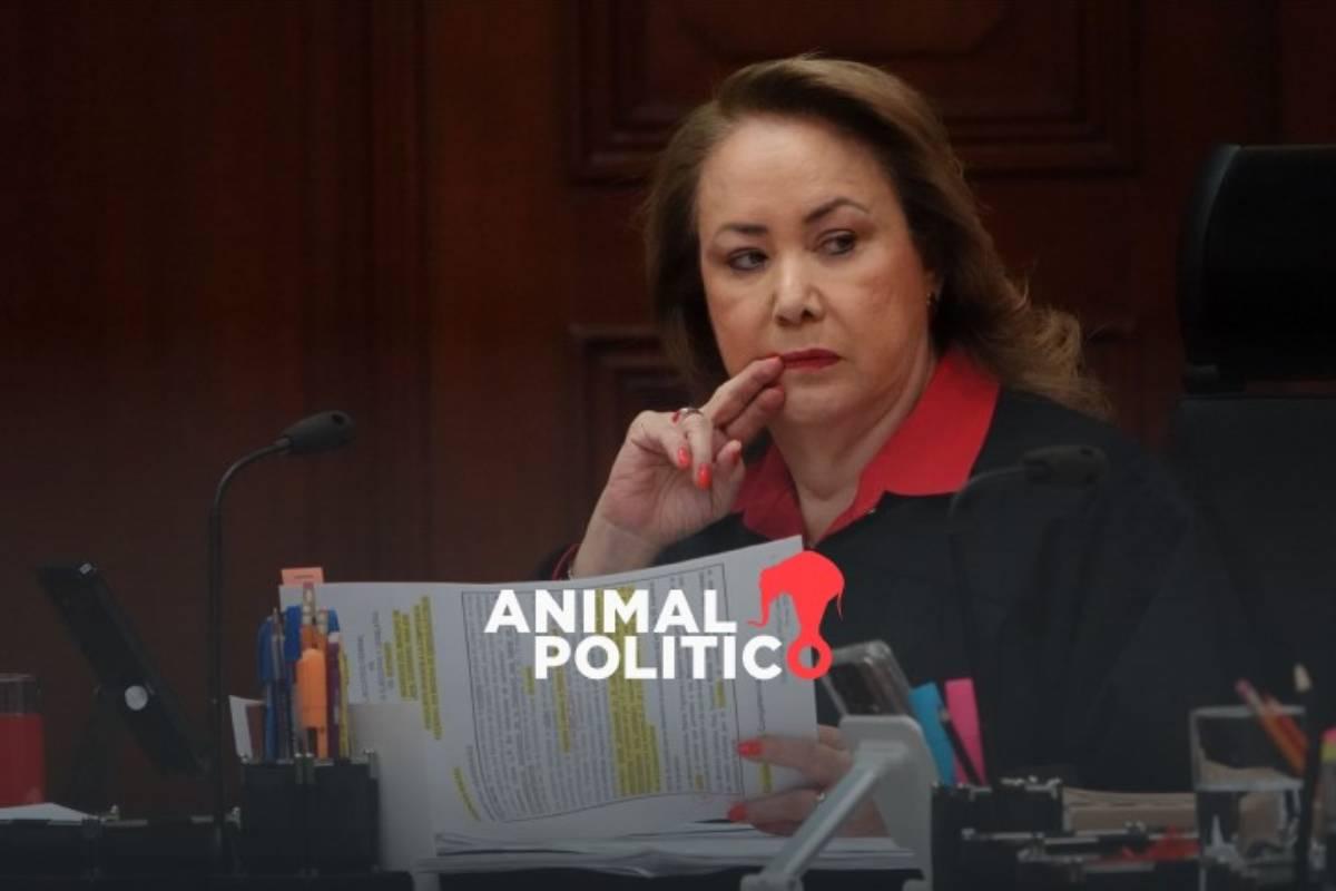 Corte rechaza proyecto de Esquivel que representaba un “grave riesgo” para la defensa de derechos colectivos y ambientales