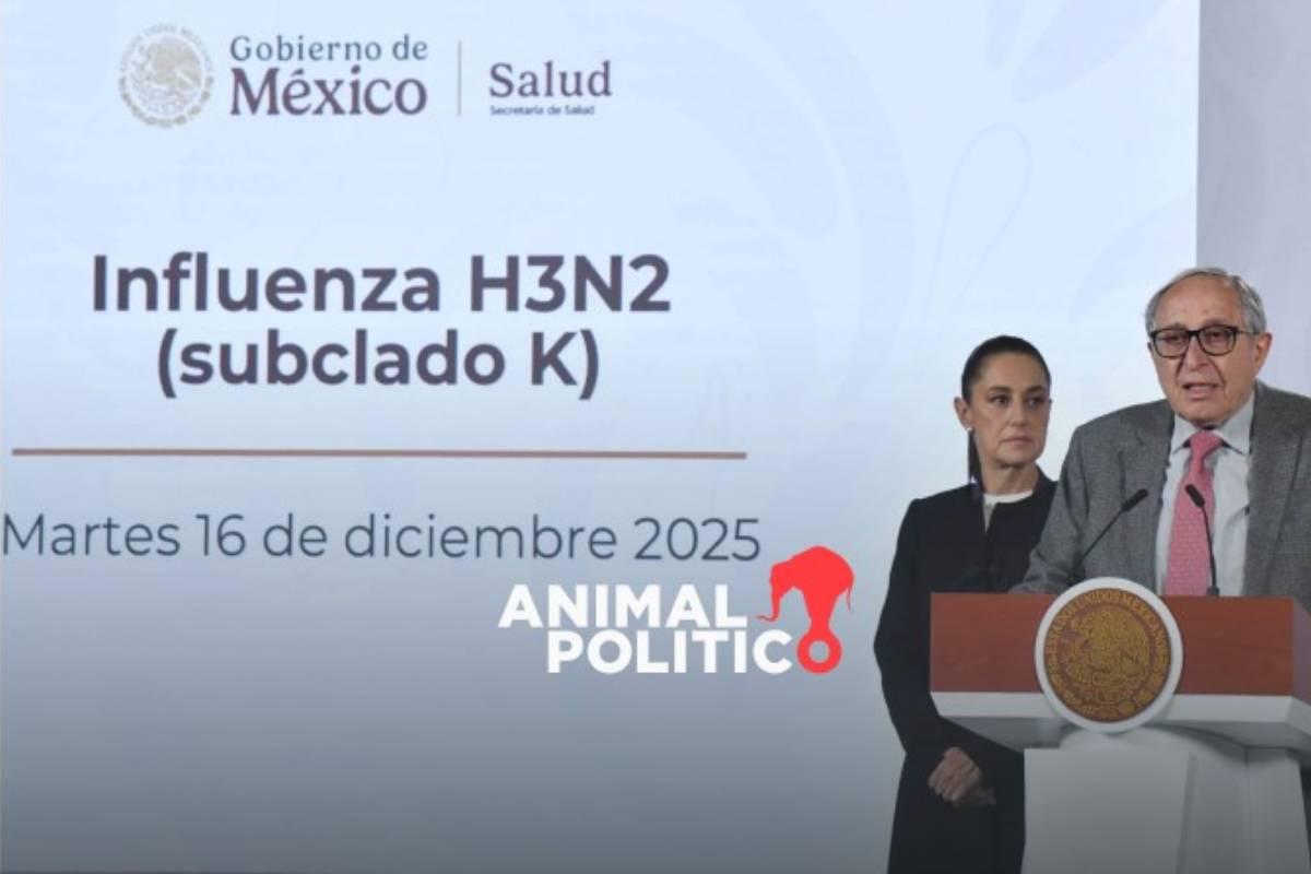 influenza-h3n2-subclado-k-mexico-vacunas-tratamiento