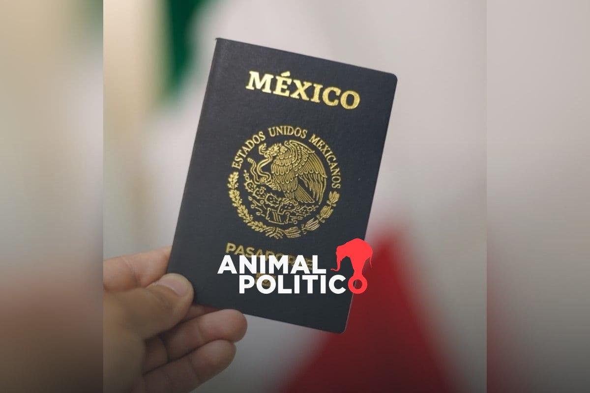 declaran-desierta-licitacion-pasaportes