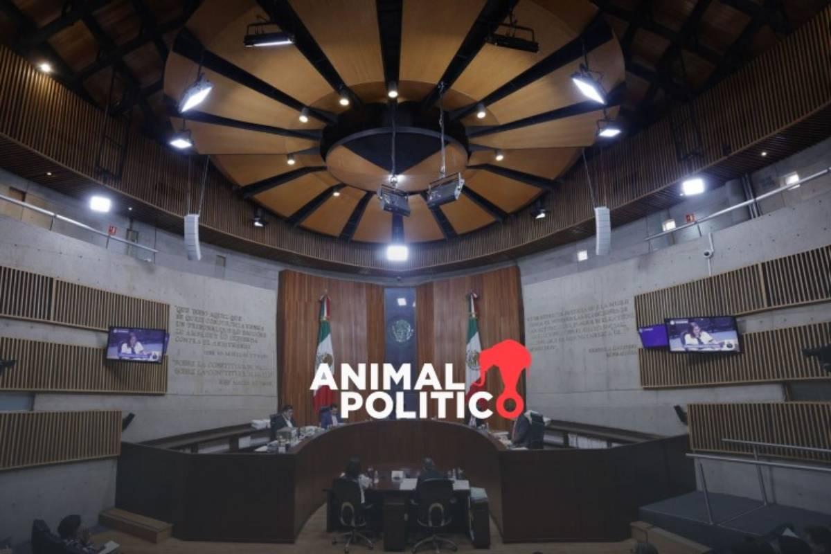 Tribunal Electoral anula elección municipal de Tamiahua, Veracruz; Partido Verde rebasó gastos de campaña