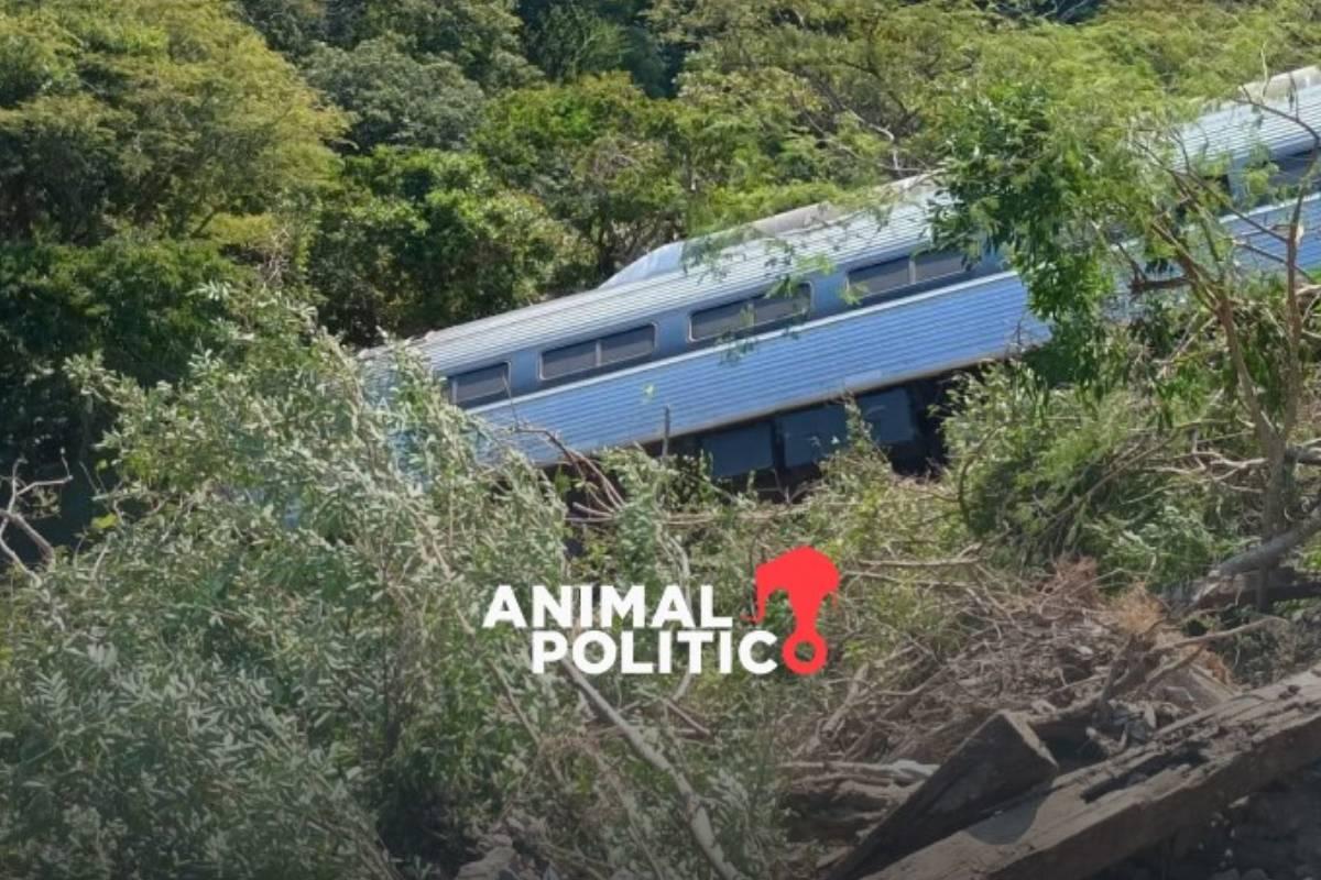 Corredor Interoceánico: se descarrila tren en poblado en Oaxaca; reportan al menos 20 pasajeros heridos