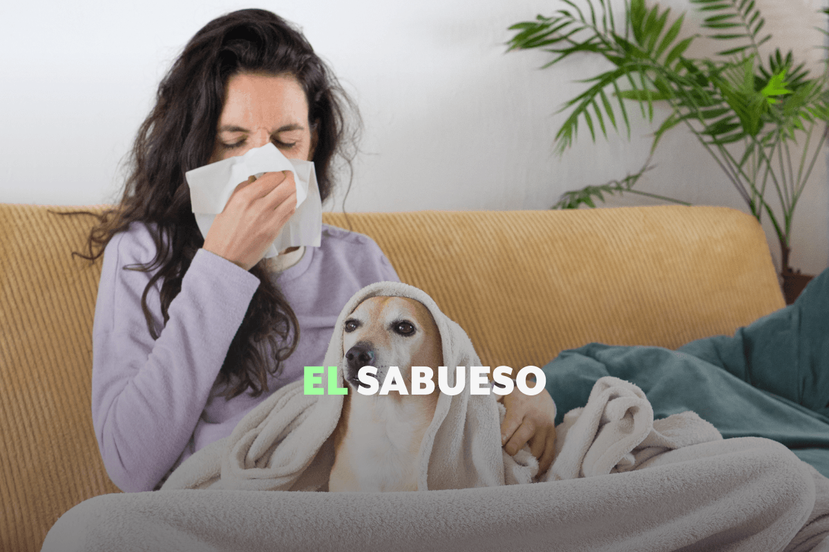 No es gripe, es alergia estacional: ¿por qué en invierno se disparan las alergias?