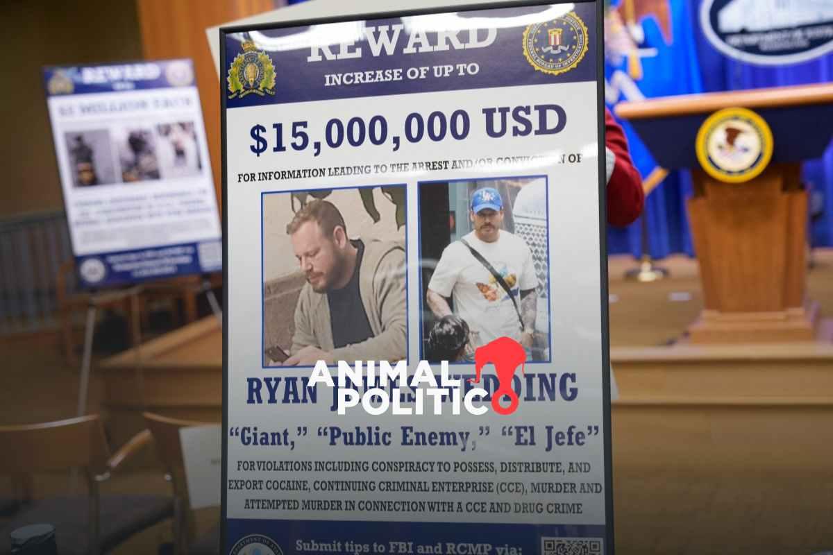 Ryan Wedding, acusado de narcotráfico, se declara no culpable en EU; su defensa niega versión de “entrega voluntaria”