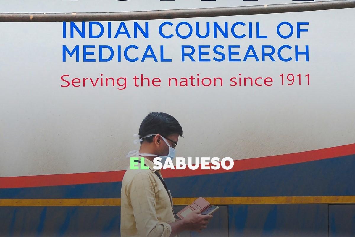 Virus Nipah, la enfermedad que mantiene en alerta a Asia: ¿qué es y cómo se transmite?