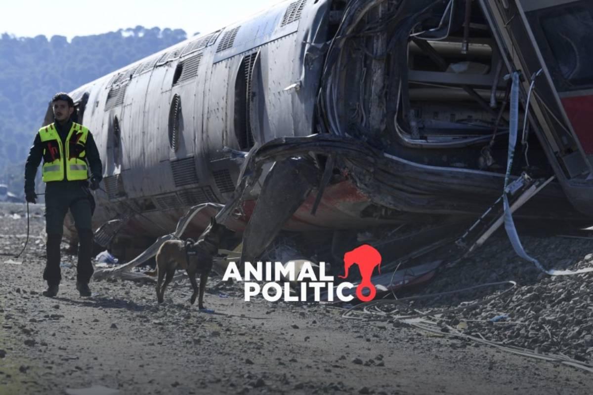 Descartan sabotaje en accidente de dos trenes de alta velocidad en España; suman 41 personas muertas