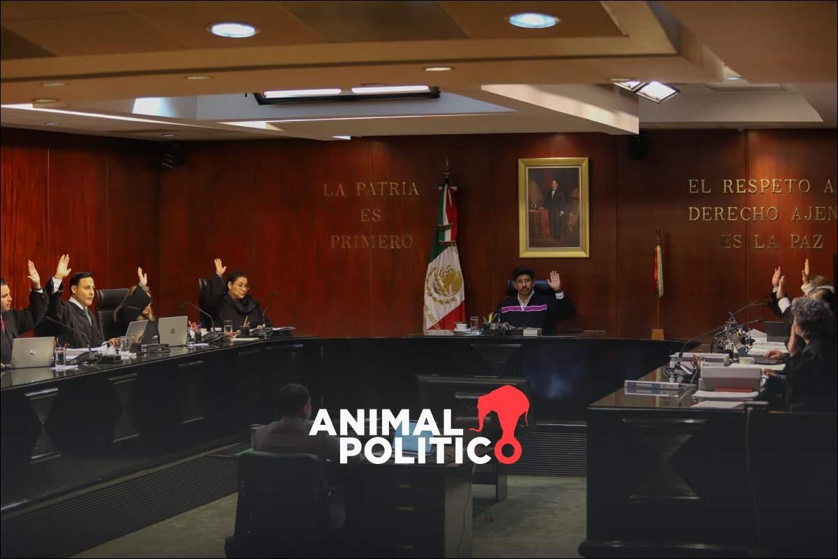 Ministros anuncian que no usarán los nuevos vehículos que les fueron asignados; la SCJN justificó su compra por seguridad