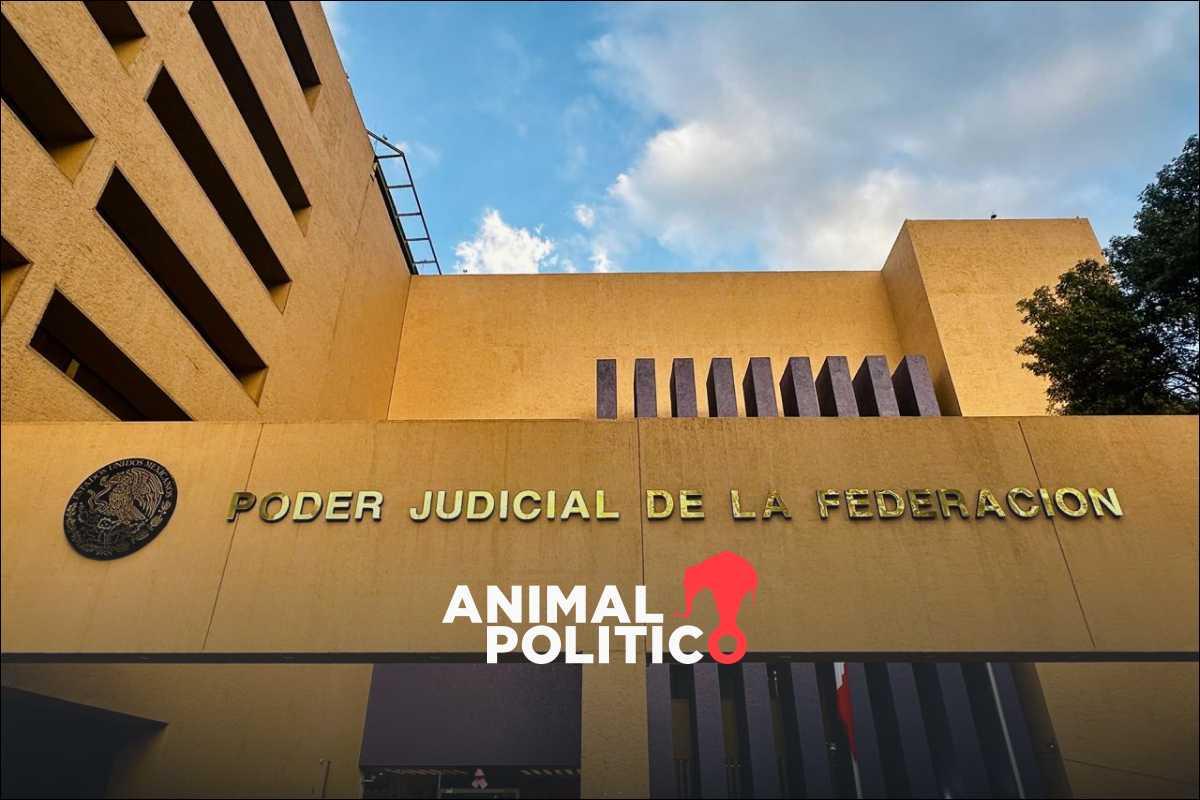 Poder Judicial gasta 252 mdp en 571 vehículos y argumenta motivos de seguridad, fallas y ahorro operativo
