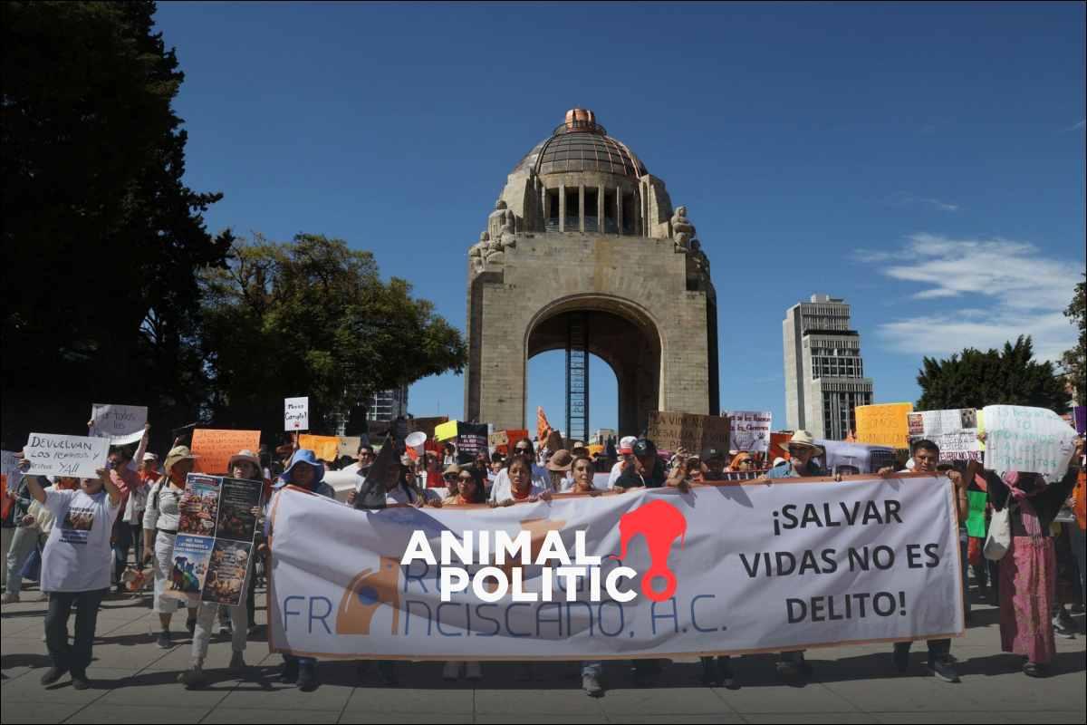 marchan-cdmx-devolucion-animales-refugio-franciscano