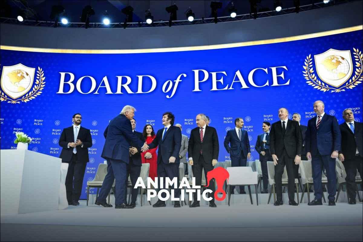 México evalúa unirse a la Junta de Paz impulsada por Trump; Sheinbaum dará respuesta esta semana